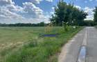 Teren 4694 mp Buftea | Potențial de extindere | intravilan - Parcul dintre Flori - 8