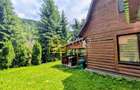 Cabană – Mureș – Sălard – Zona Pensiunea Denisa - 4