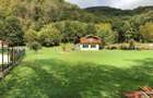 Casa de vacanta/pensiune cu teren de 3780mp | Clisura Dunarii - 8