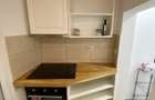 4 min de Parcul Carol, parter vilă, 6 camere apartament spațios, 130 mp - 10