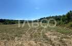 Teren extravilan 2700 mp oportunitate investitie Calea Poplacii Sibiu - 3