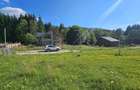 Teren intravilan Traisteni, Valea Doftanei – 2.290 mp, deschidere mare, padure - 6