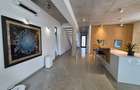Inchiriere vila moderna Iancu Nicolae - 2