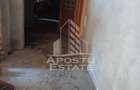 Casa individuala in Cruceni ,la granita cu Serbia - 5