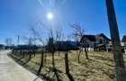CASA RENOVATA + TEREN 3100 MP | CURTE SI GRADINA | FRATAUTII NOI - 20