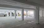 Inchiriere Spatiu comercial 600 mp Bascov-Centru cu parcare - 3