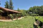 DOMENIU DE 2.1 HA CU 2 CABANE, LAC SI PADURE - OPORTUNITATE PENTRU TURISM SI RET - 10