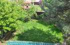 Vilă spațioasă S+P+1E+M | Chitila | Str. 8 Martie - 3