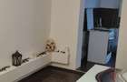 Apartament 2 camere Progresu, parter cu balcon mare. - 4