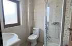 Vanzare 1/2 duplex in Alba Iulia - 8