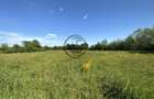 Teren intravilan de vanzare | 11.000 mp | Ghirdoveni | Comision 0% - 10