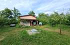 Vila + Afacere 15.000mp Clinceni - 2
