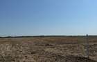 vand teren autostrada Bucurest Pitesti A1 30000 mp (3ha) cu deschidere la A1