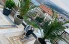 Penthouse Obcini | 240mp totali | Terase  | Parcare | 3c-4342 - 16
