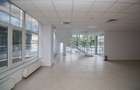 Cladire multifunctionala ultracentrala in Pitesti-1.200 MP UTILI | teren 749 MP - 9