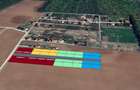 The Forest Collection -500mp-Zona exclusivista | Padurea Snagov -Ciofliceni - 4