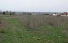 Vand teren 6170 mp in Vaslui, localitate Negresti - 4