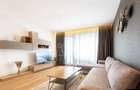 One Herastrau Plaza, 3 camere complet mobilat cu parcare subterana - 3