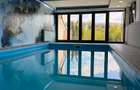 VILA ELEGANTA CU PISCINA INCALZITA SI IESIRE LA LAC - 19