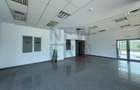 De inchiriat showroom Soseaua Odaii - 4