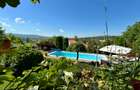Vila de lux 310 mp construiti, cu piscina 40mp, Bucium Iasi, 1500mp teren, garaj foisor livada - 40