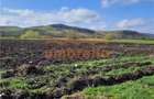 Teren de vanzare 2 parcele total 18.000m²/50€ m² Gherla ! - 4