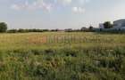 Teren industrial de vânzare | 11.600 mp | Între Timișoara și Remetea | Autorizaț - 4