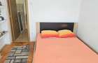 Vand apartament 2 camere cu intrari separate in Deva, Al. Jiului, mobilat - 10