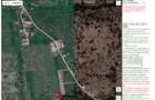 teren in suprafata de 2.410 mp mp Paleu, jud. Bihor (licitatie) - 1