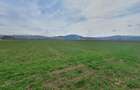 Teren Industrial Brasov - Tarlungeni deschidere la DN 103B - 2