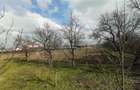 De vanzare, teren intravilan 11200 mp Nazna , Mures - 7