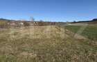 Teren intravilan in localitatea Hereclean in suprafata de 5800 mp - 5