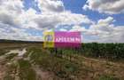 Teren 715mp în Snagov lângă Equestria - 40