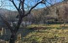 Casă 3 dormitoare, 90 mp, teren 10 ari, zona Firiza - 17