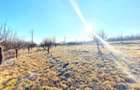 Descoperă Terenul Ideal: 390mp în Daia, Sibiu - 2