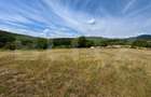 Teren intravilan de vânzare – 480 mp, zona Pădurea Bejan - 1