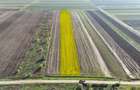 Teren 10.000 mp, parcelabil, ideal ansamblu case P+1 | Gulia - Dambovita - 5