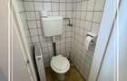 Vila renovat de vanzare D+P curte proprie 774 mp, semicentral Arad - 23