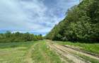 Teren pentru casă lângă pădure | 500 mp | Clinceni | Investiție excelentă - 4