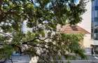 Birou cu 5 camere Unic *160mp* // Zona Eminescu- Polona - 55