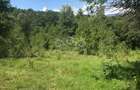 Teren cu livada de vanzare in Albesti de Muscel - 2