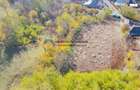 Teren de vânzare 11.766 mp – Costișa, județul Neamț - 11
