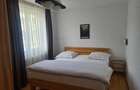Apartament 3 camere zona Onix, decomandat, 1 baie, mobilat, utilat, balcon. - 10