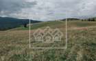 Teren intravilan constructii - 3000 mp - Paltinis - 6