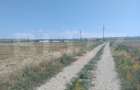 Teren intravilan, Simnicu de Sus, 5300 mp, deschidere 16,4 m - 2