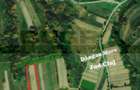 Teren extravilan, 4265 mp, zona Dangau Mare - 1