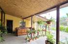 Casa Individuala Dragsina, Teren 2600 Mp - 11