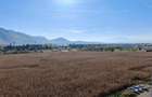 Inchiriem Apartament 2 Camere, Modern, Decomandat, Avantgarden 3 - 15