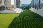 Vila Valea Adinca cod 162266 tel 073122666 - 18