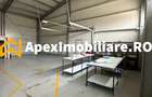 Hala Industrială Malu Rosu Ploiesti 550 mp + Birouri | Parcare 20 | Acces TIR | - 12